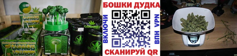Canna-Cookies марихуана  Сусуман 