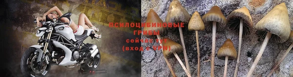 прущие крисы Абинск