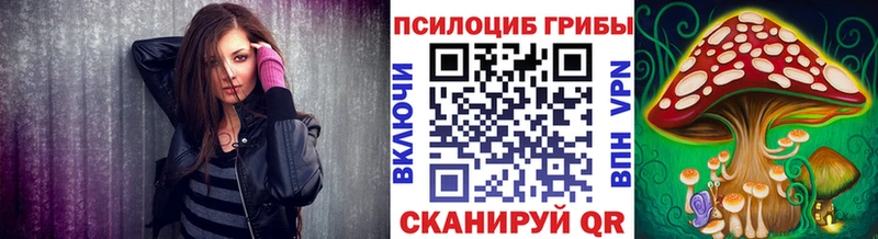 Псилоцибиновые грибы Psilocybine cubensis  кракен рабочий сайт  Сусуман 