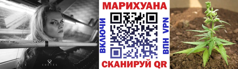 Каннабис White Widow  Сусуман 